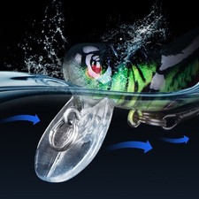 Crankbait Baits Fisch