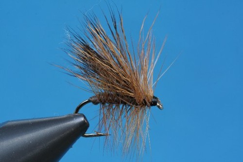 Fliegentom trockenfliege - fliegentom,