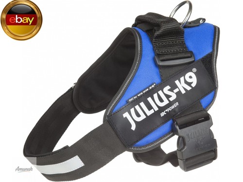 Julius 16idc 1 - k9, 16idc-b-1
