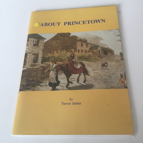 About princetown trevor - about,