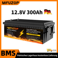 12V 300Ah Lithium Batterie