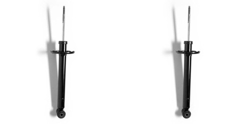 Stossdämpfer hinten links und - links,