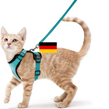 Katzengeschirr mit Leine