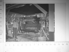 30113585 - 5560 Wittlich Markt Spanferkel