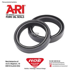 ARI138 CP Gabelschutz