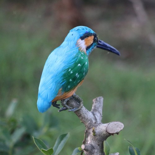 Realistische eisvogel vogel - eisvogel,
