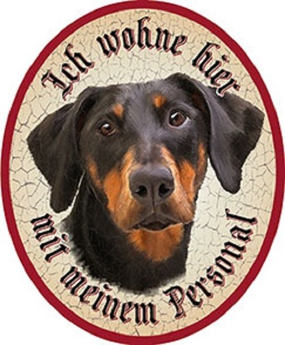 Hund dobermann - hund, +