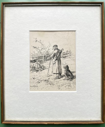 Hugo mühlig schäfer - mühlig, "schäfer"