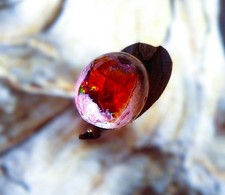 mexikanischer Feueropal