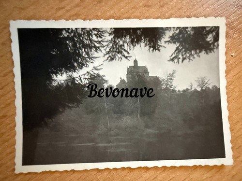 Foto burg und talsperre - foto,