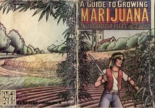 A Guide to Growing Marijuana