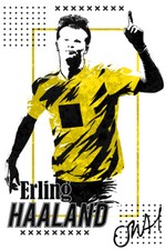 Erling haaland borussia - haaland,