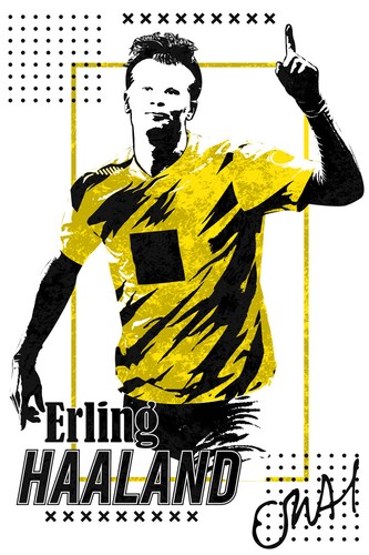 Erling haaland borussia - erling,