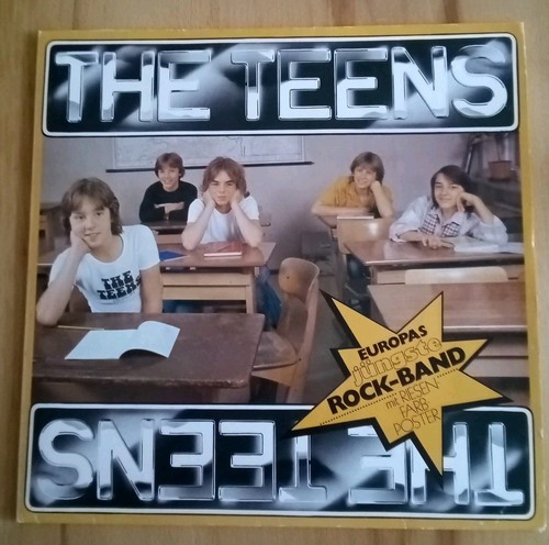 Vinyl the teens - vinyl, lp-the