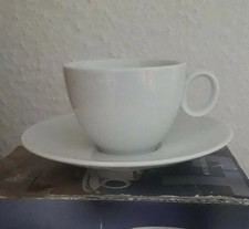 Thomas - TREND FACTORY-