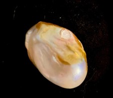 Barocke Perlen/Kernperlen