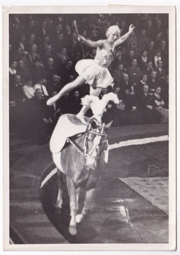 Zirkus miss lucie der billey - zirkus:,