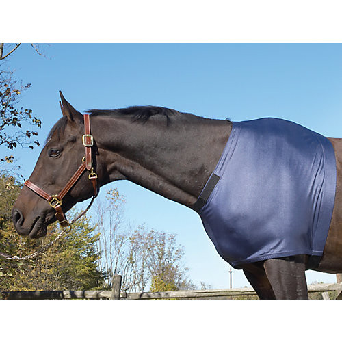 Equi essentials stretch - equi-essentials,