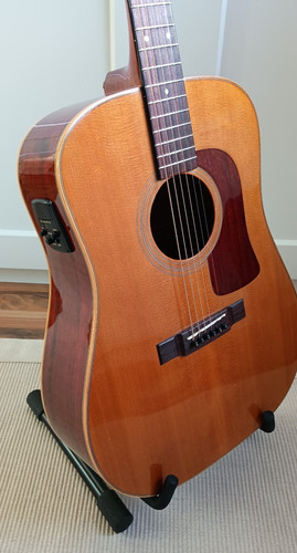 Washburn d60 timber ridge - d60, sw