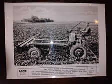 Original Lanz Photo Alldog