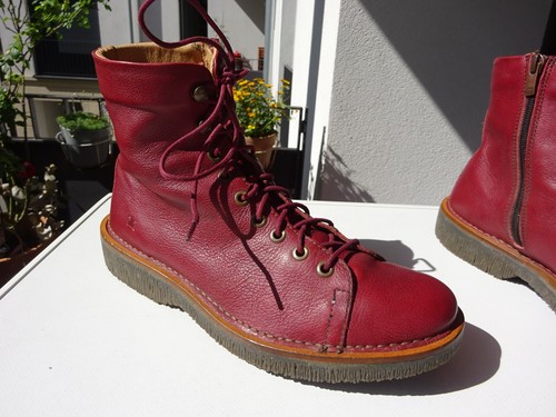 Naturalista n5572 volcano - naturalista,