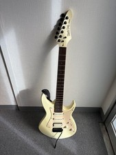 Rare Aria Pro II Black Dog