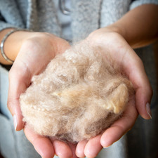 Ungewaschene schafwolle 100g - ungewaschene,