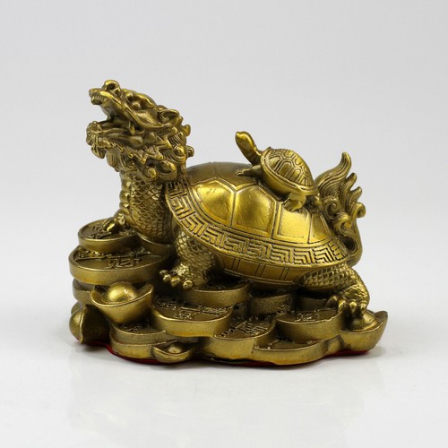 Drachenschildkröte auf