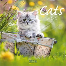 Cats 2026 Broschürenkalender