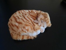 Perfect Petzzz-Katze