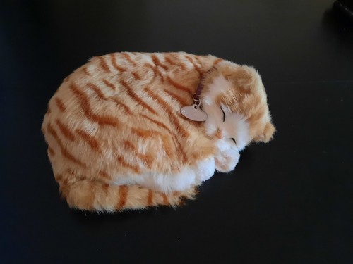 Perfect petzzz katze - perfect, petzzz-katze