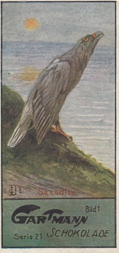 Gartmann schokolade gruppe - gartmann,