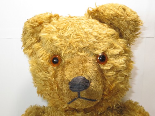 Alter teddy von max - von,