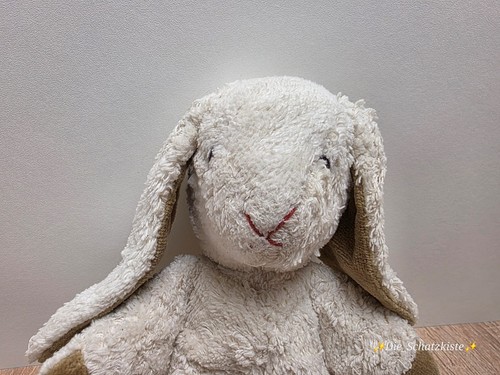 Kallisto hase weiß - -, /