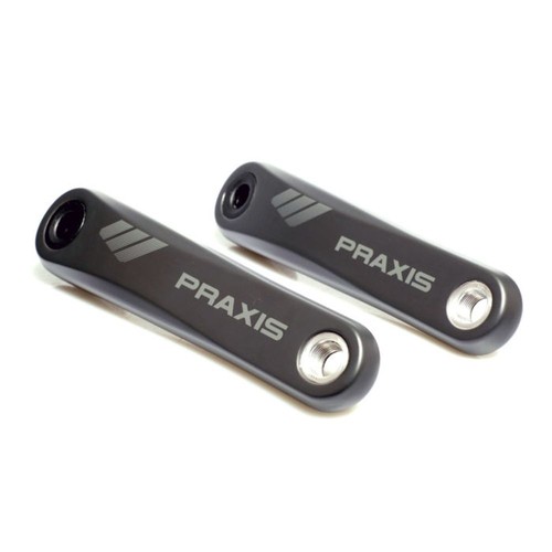 Praxis specialized - praxis,