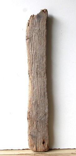 Treibholz schwemmholz - treibholz,