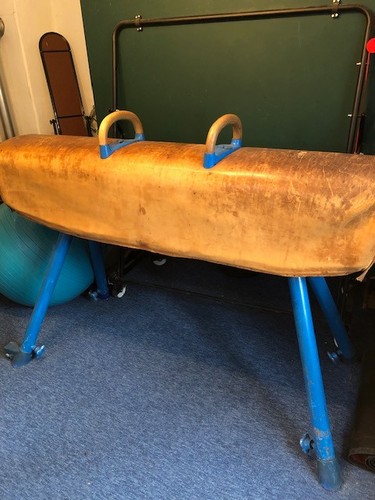 Pauschenpferd funktionsfähig