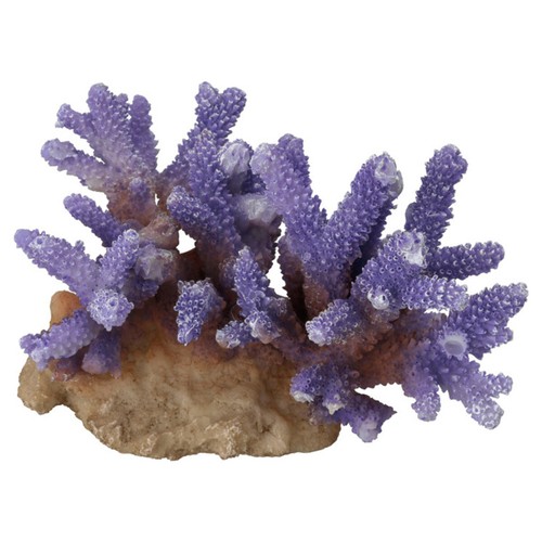 Aqua della aquarien dekoration - aqua, aquarien-dekoration