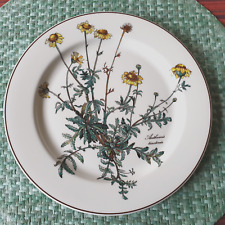 V&B BOTANICA   Speiseteller