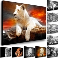 LEINWAND BILDER XXL Tiere