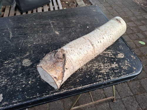Deko holz birke ast basteln - deko,