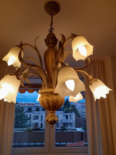 Dekorativer lüster - lüster, /