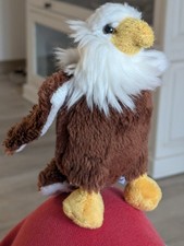 Weißkopfseeadler Adler