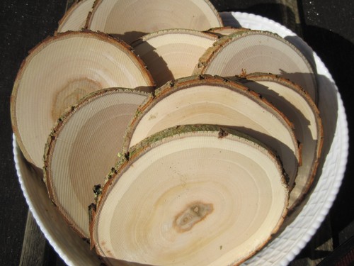 Holzscheiben astscheiben - holzscheiben,