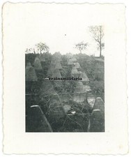 Orig foto panzersperren - foto,
