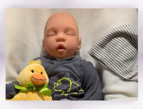 Authentic lifelike reborn - authentic,