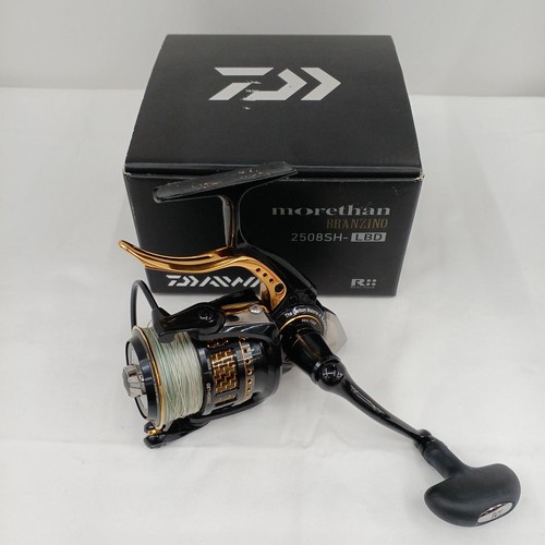 Daiwa morethan branzino - morethan,