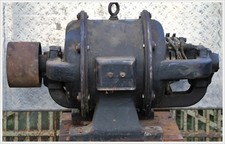 riesig Schleifringläufer