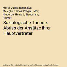 Soziologische Theorie: Abriss
