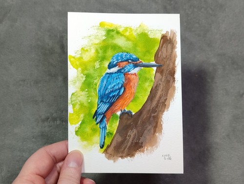 Aquarell eisvogel gemälde - aquarell,